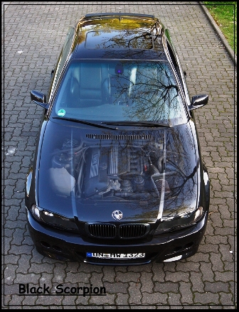 Black Scorpion - 3er BMW - E46